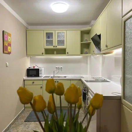 Luxury Ani Apartament *