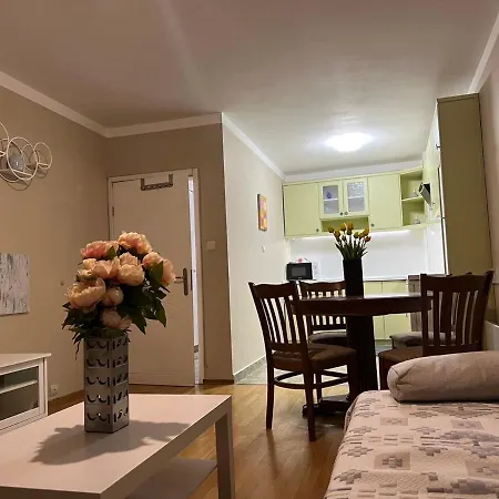 Luxury Ani 아파트